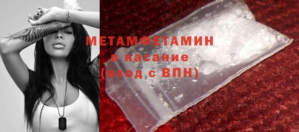 прущие грибы Баксан