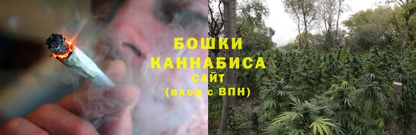 прущие грибы Баксан
