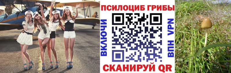 что такое   Сафоново  hydra онион  Псилоцибиновые грибы мицелий 